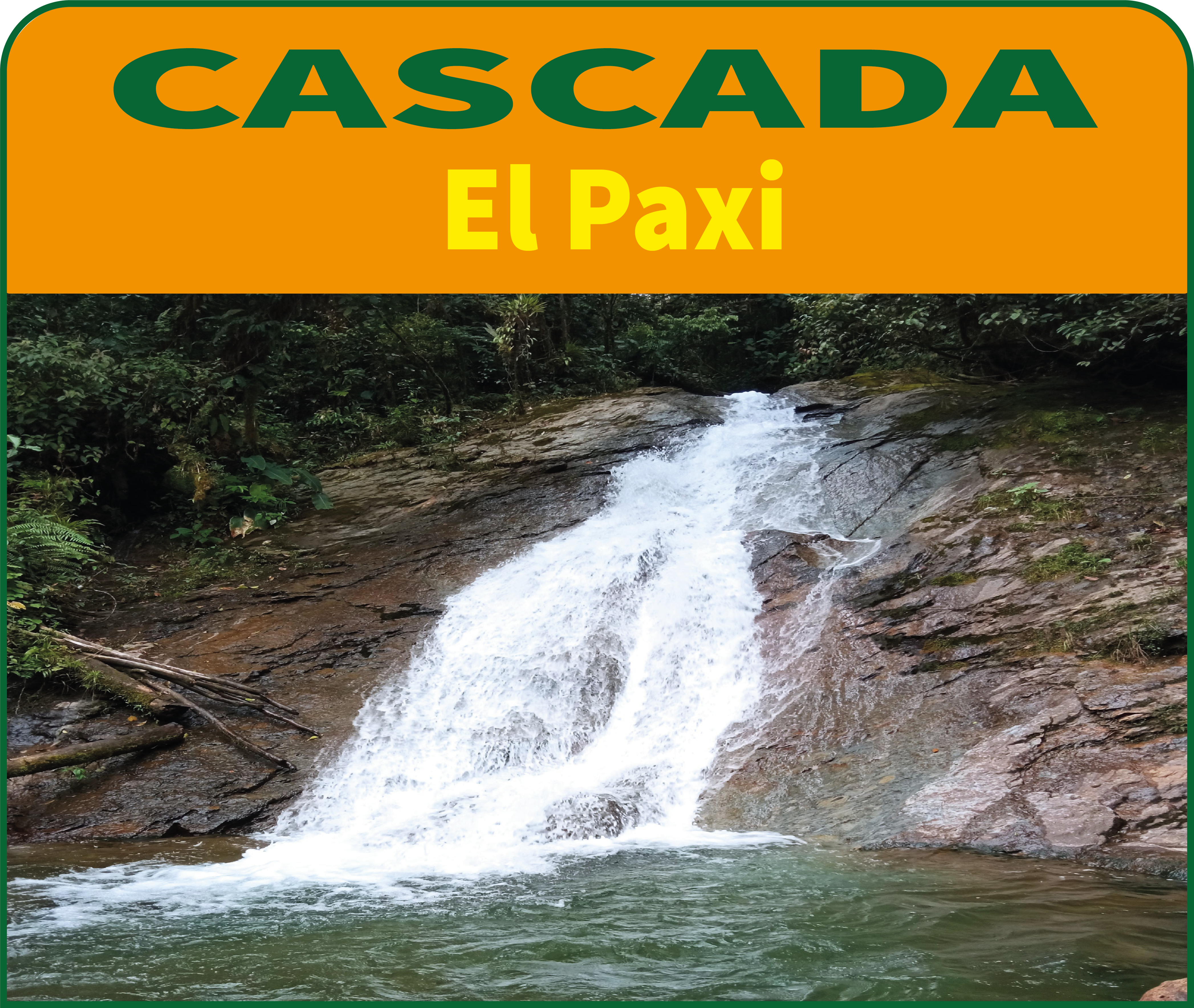 cas paxi