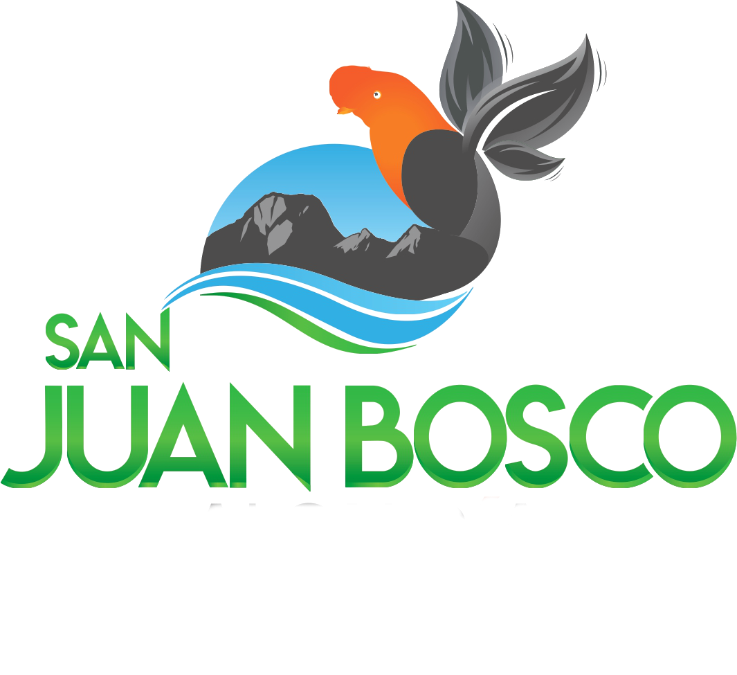 logo junto