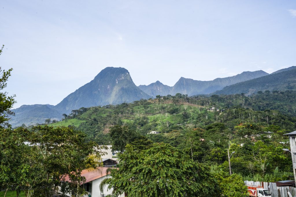 2. cerro - muni